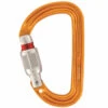 Petzl Sm`D Screw-Lock Karabiner -Dometic Verkaufs-Shop 4476505 1280x1280