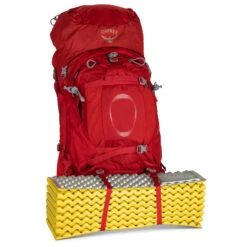 Osprey Ariel Plus 60 WM/L Damen Trekkingrucksack -Dometic Verkaufs-Shop 8072761 1280x1280