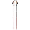 Black Diamond Pursuit FLZ Trekking Poles Faltbare Trekkingstöcke