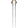 Black Diamond Pursuit FLZ Trekking Poles Trekkingstöcke -Dometic Verkaufs-Shop 8181998 1280x1280